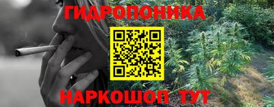 мяу мяу мука Бугуруслан