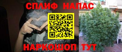 мяу мяу мука Бугуруслан