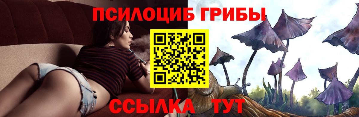 Псилоцибиновые грибы ЛСД  Вход с VPN  Северобайкальск  Галлюциногенные грибы Psilocybine cubensis 